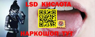 прущие грибы Обнинск