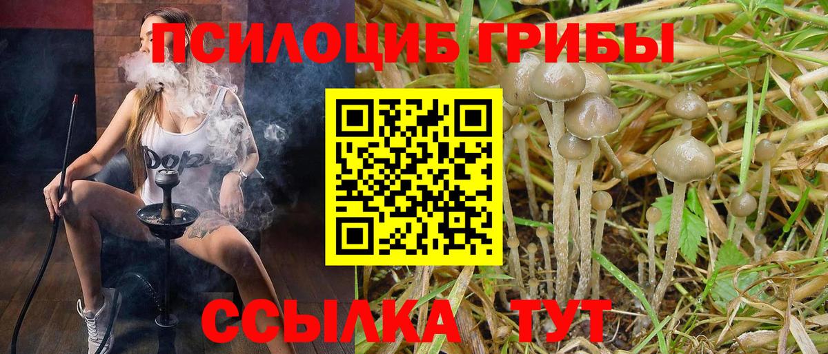 Ангарск  Псилоцибиновые грибы GOLDEN TEACHER  Галлюциногенные грибы мухоморы  Вход с VPN 